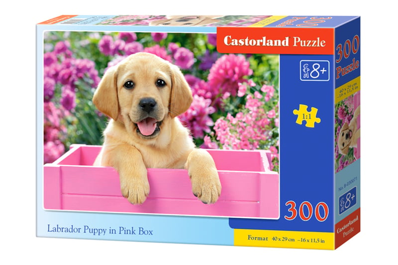 Labrador puppy in pink box Castorland B-030071
[mwwsrc:0420a54d3750b59491dd91657aa721f03fd150cf.jpg]