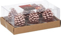 Dennenappel kaarsjes doosje 6 stuks
[mwwsrc:239af7d24b739415248c091958ae9117206f471e.jpg]