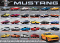 Ford Mustang Evolution
[mwwsrc:40c23809a8025fd0f6f0e890f723c2d4dff66124.jpg]