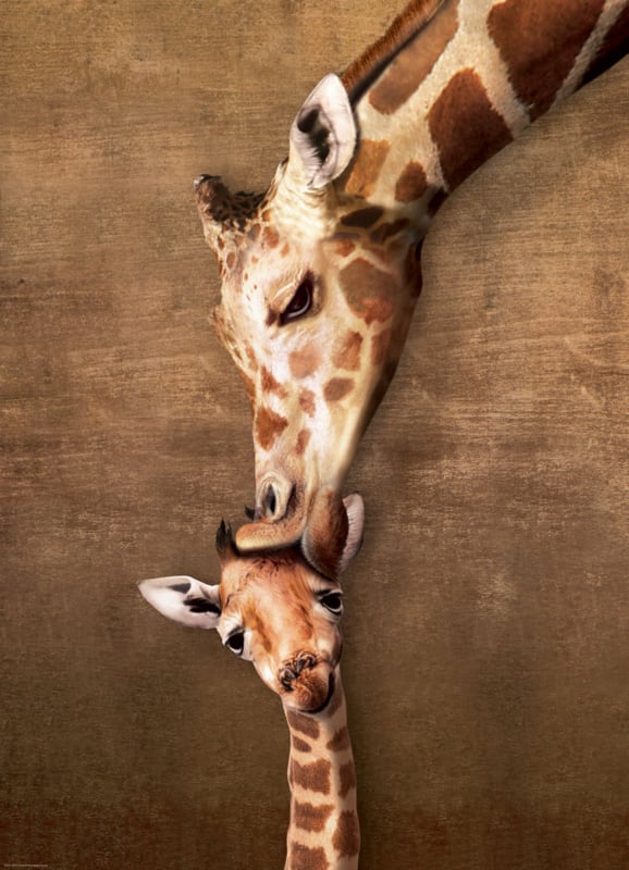 Giraffe Moeders Kus 1000 stukjes
[mwwsrc:89e12d2937a26f890de39f90313d6fcbdd04c985.jpg]