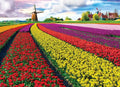 Tulip Fields, Tulpen Velden
[mwwsrc:a83e79c89b47b581f96f0d79ab357f1f53e89d97.jpg]