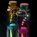 Glazen pot met LED verlichting Medium
[mwwsrc:b8667b59ee7e2ffe9c5f875fc56bdf6b36cb2e65.jpg]