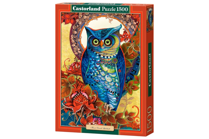 Hoot copy of David Galchutt Castorland C-151110-2
[mwwsrc:d5494416e82a878d6e744e71380f54c58ac39e0d.jpg]