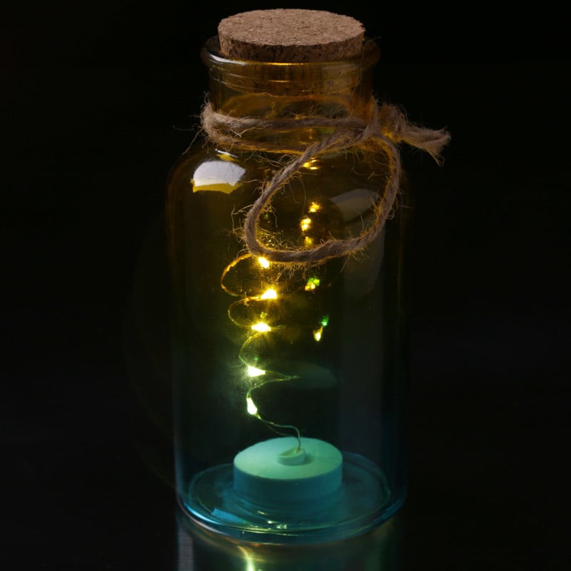 Glazen pot met LED verlichting Medium
[mwwsrc:d938ddb8fde94571987e29f344043e2f2c114354.jpg]